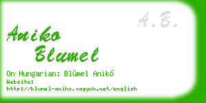 aniko blumel business card